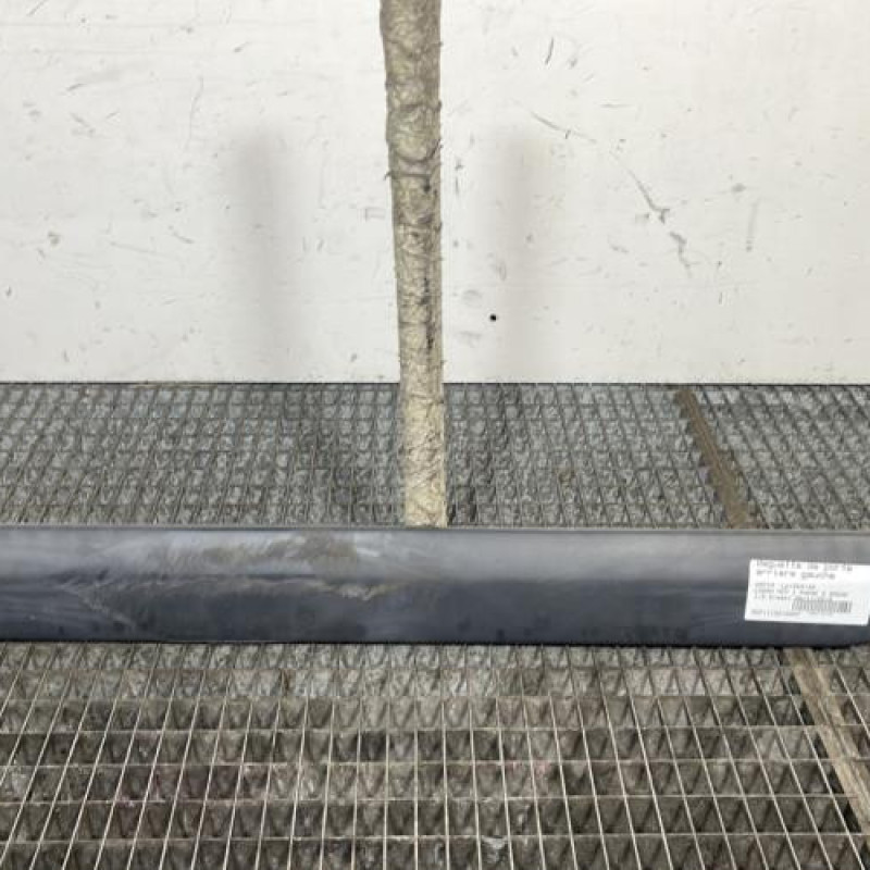 Baguette de porte arriere gauche  DACIA LOGAN MCV 1 Photo n°1