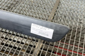 Baguette de porte arriere gauche  DACIA LOGAN MCV 1