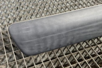 Baguette de porte avant gauche DACIA LOGAN MCV 1