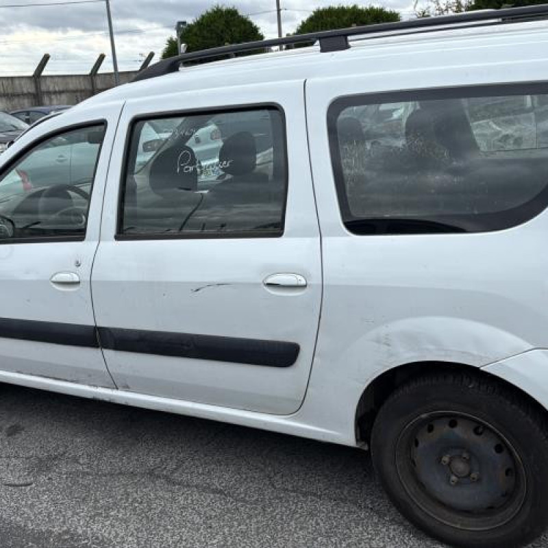 Baguette de porte avant gauche DACIA LOGAN MCV 1 Photo n°10