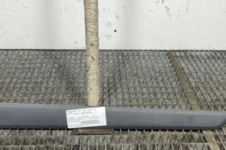 Baguette de porte arriere gauche  RENAULT KANGOO 2 Photo n°1