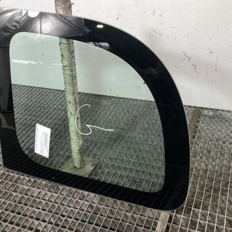 Custode arriere gauche RENAULT KANGOO 2 Photo n°3