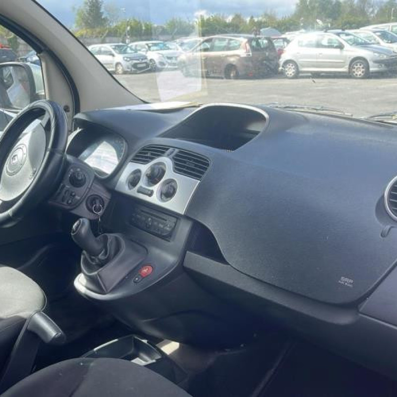 Porte avant droit RENAULT KANGOO 2 Photo n°14
