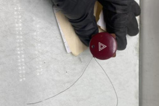 Bouton de warning CITROEN XSARA Photo n°1