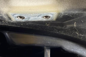 Malle/Hayon arriere CITROEN C4 1