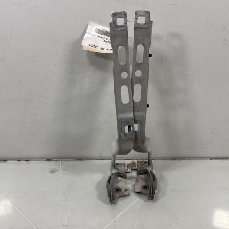 Charniere de capot PEUGEOT 208 1 Photo n°1