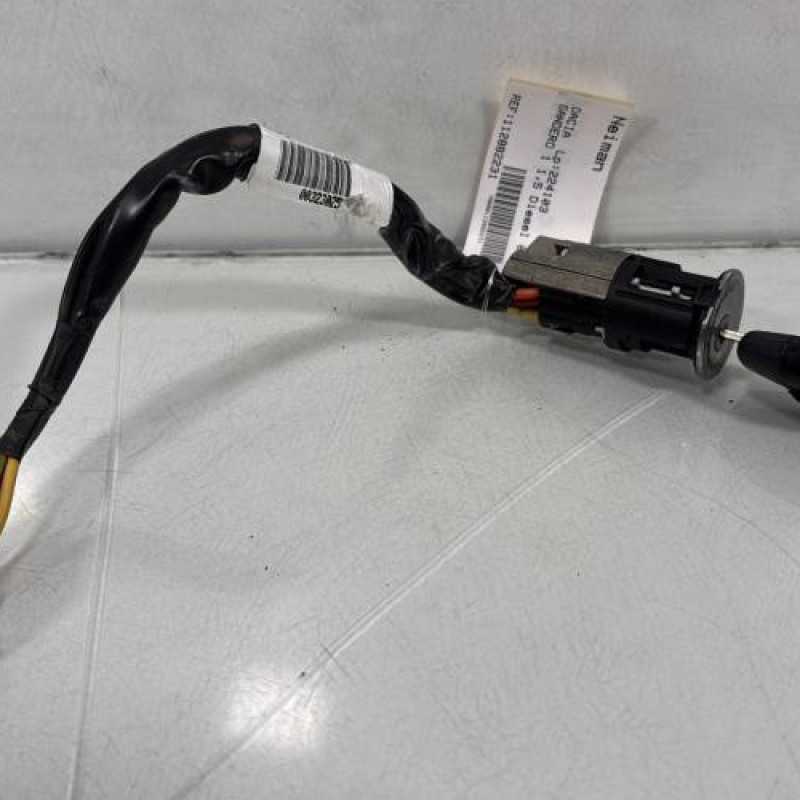 Neiman DACIA SANDERO 1 Photo n°1