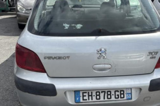 Poignee porte arriere droit PEUGEOT 307