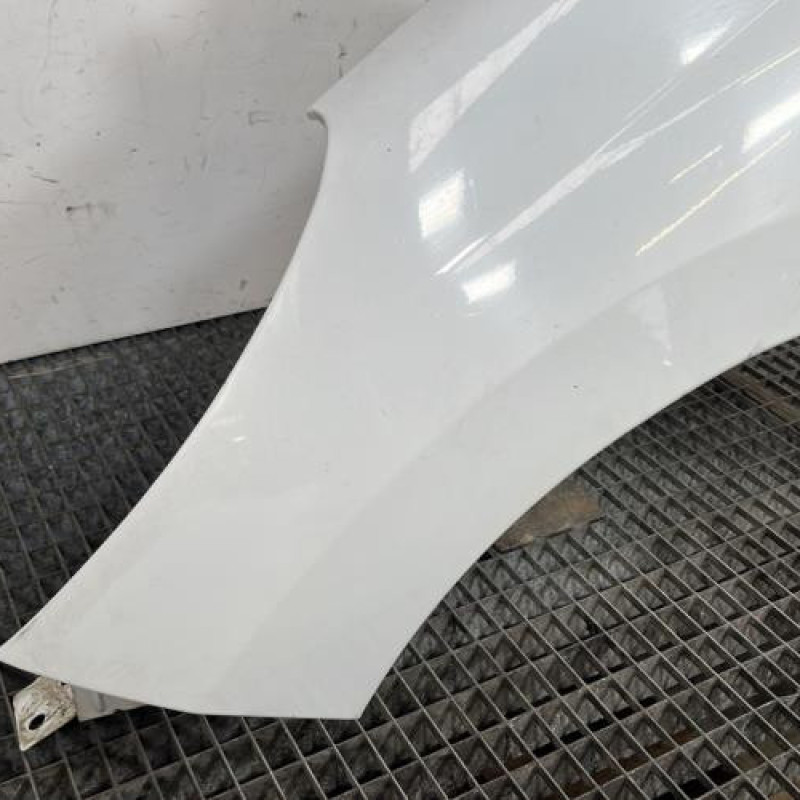 Aile avant gauche PEUGEOT 207 Photo n°2