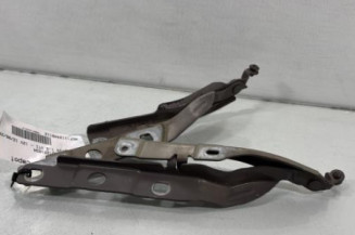 Charniere de capot CITROEN C4 CACTUS