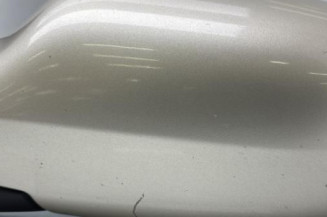 Retroviseur gauche RENAULT SCENIC 2