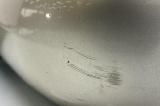 Retroviseur gauche RENAULT SCENIC 2