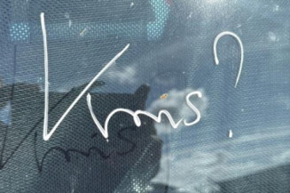 Retroviseur gauche RENAULT SCENIC 2