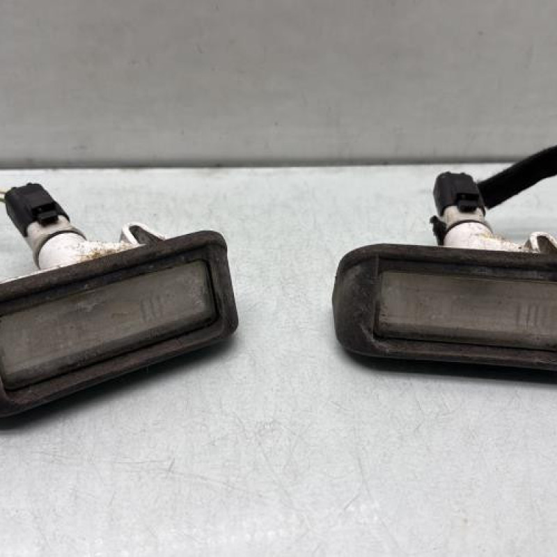 Eclairage de plaque PEUGEOT EXPERT 2 Photo n°1