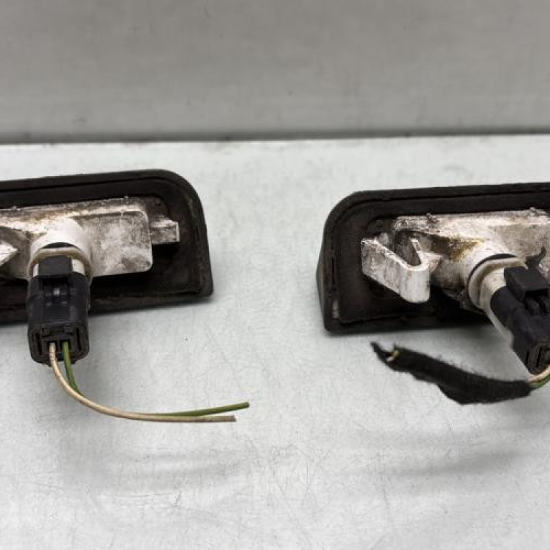 Eclairage de plaque PEUGEOT EXPERT 2 Photo n°2