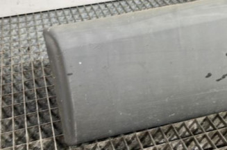 Baguette de porte arriere gauche  RENAULT TRAFIC 2