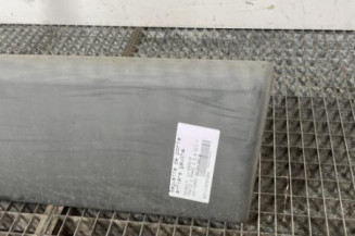 Baguette de porte arriere gauche  RENAULT TRAFIC 2