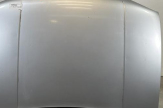 Capot VOLKSWAGEN GOLF 4 Photo n°1