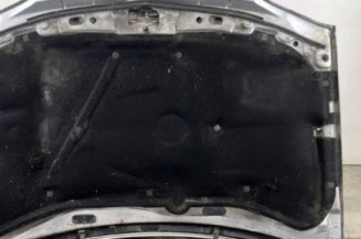 Capot VOLKSWAGEN GOLF 4