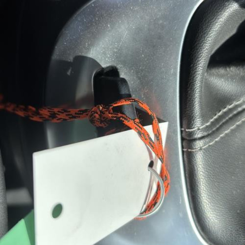 Porte avant droit RENAULT SCENIC 3 Photo n°19