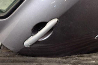 Porte arriere droit RENAULT CLIO 3