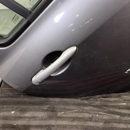 Porte arriere droit RENAULT CLIO 3