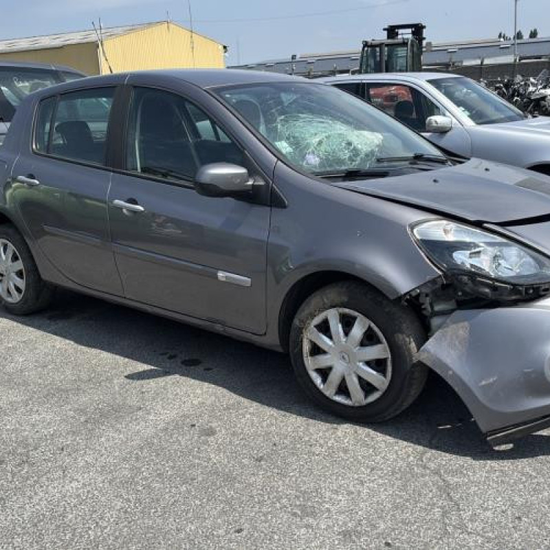 Porte arriere droit RENAULT CLIO 3 Photo n°7