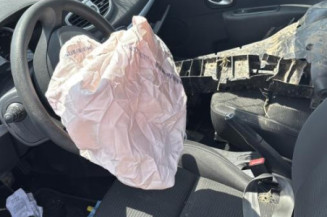 Porte arriere droit RENAULT CLIO 3