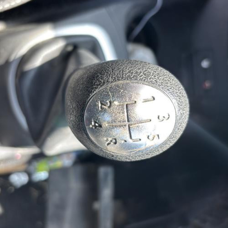 Porte arriere droit RENAULT CLIO 3 Photo n°11