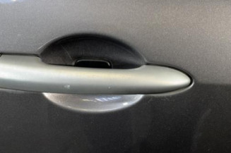 Porte avant droit RENAULT CLIO 3