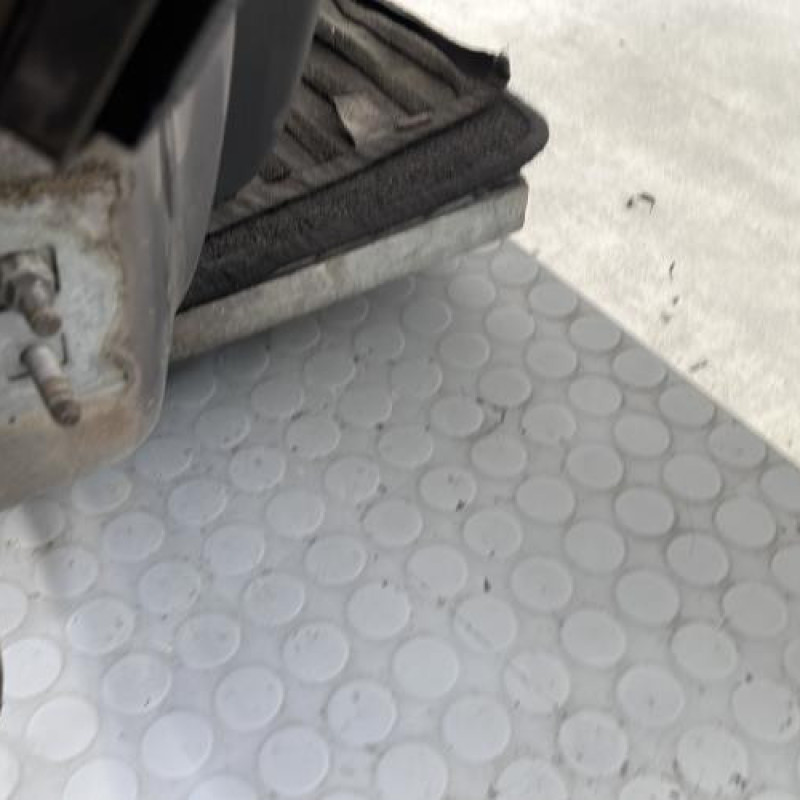 Porte avant droit RENAULT CLIO 3 Photo n°5