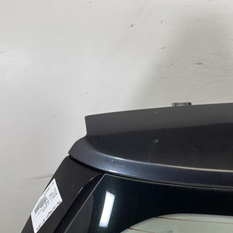 Malle/Hayon arriere RENAULT SCENIC 2 Photo n°2