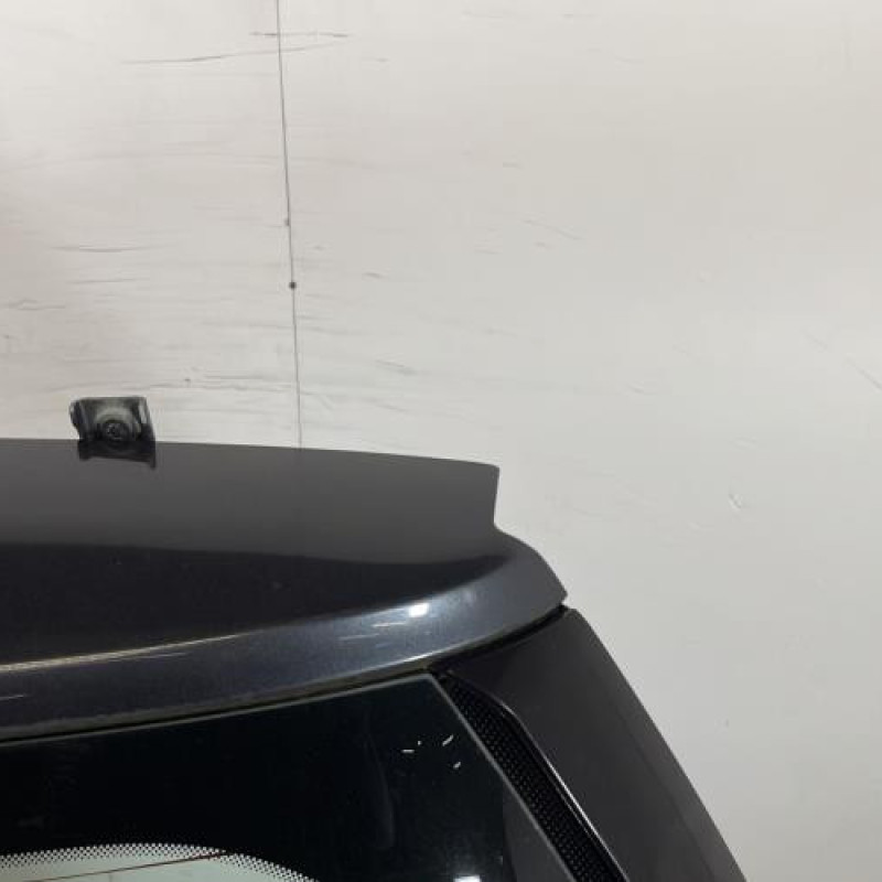 Malle/Hayon arriere RENAULT SCENIC 2 Photo n°5