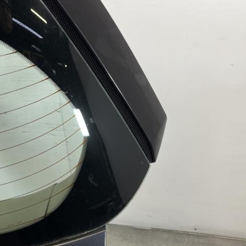 Malle/Hayon arriere RENAULT SCENIC 2 Photo n°6