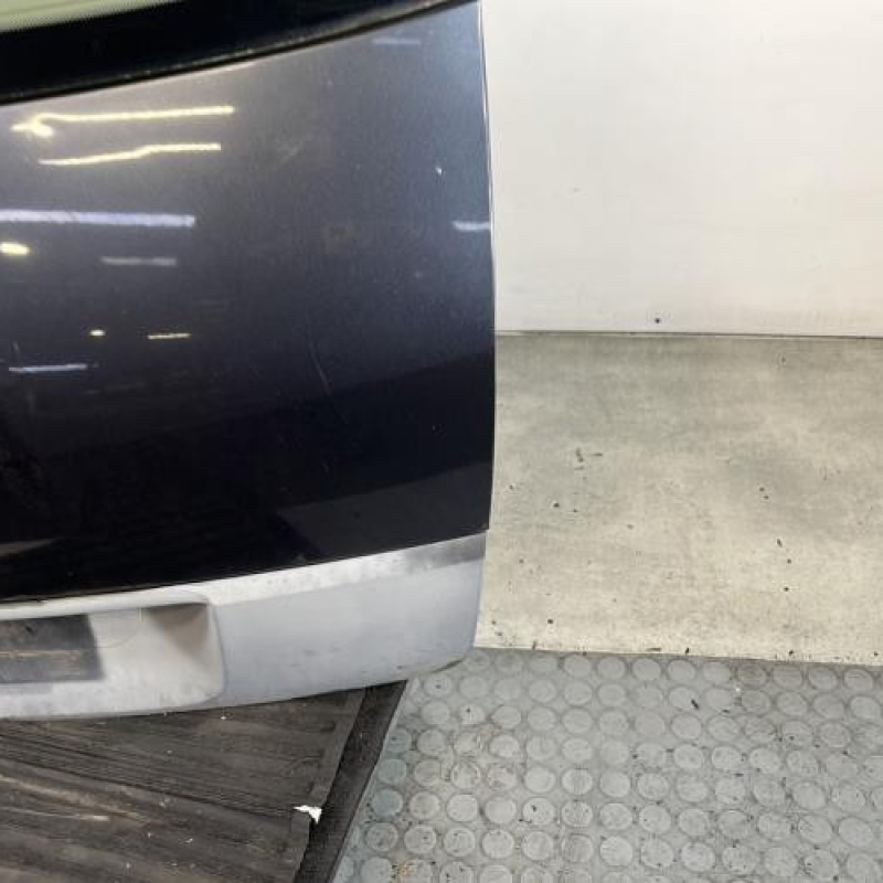 Malle/Hayon arriere RENAULT SCENIC 2 Photo n°7