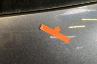 Malle/Hayon arriere RENAULT SCENIC 2