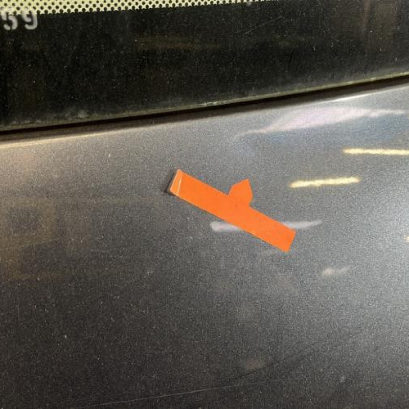 Malle/Hayon arriere RENAULT SCENIC 2 Photo n°8