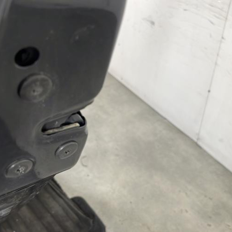 Porte arriere gauche RENAULT SCENIC 2 Photo n°3