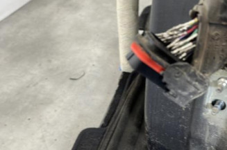 Porte arriere gauche RENAULT SCENIC 2