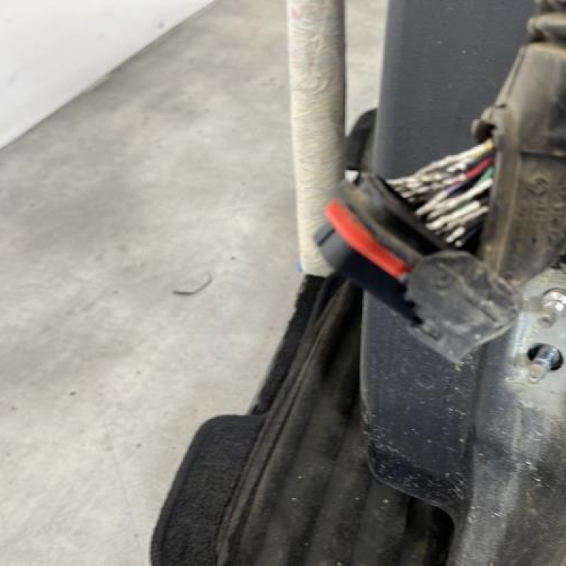 Porte arriere gauche RENAULT SCENIC 2 Photo n°5