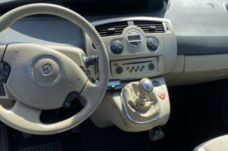 Porte arriere gauche RENAULT SCENIC 2