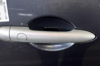Porte avant droit RENAULT SCENIC 2