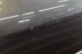 Porte avant droit RENAULT SCENIC 2