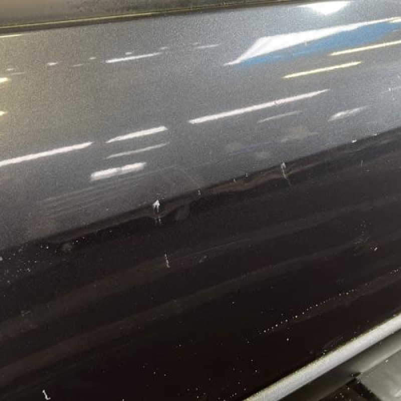 Porte avant droit RENAULT SCENIC 2 Photo n°3