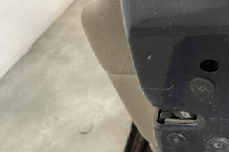 Porte avant droit RENAULT SCENIC 2