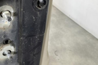 Porte avant droit RENAULT SCENIC 2