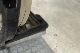 Porte avant droit RENAULT SCENIC 2