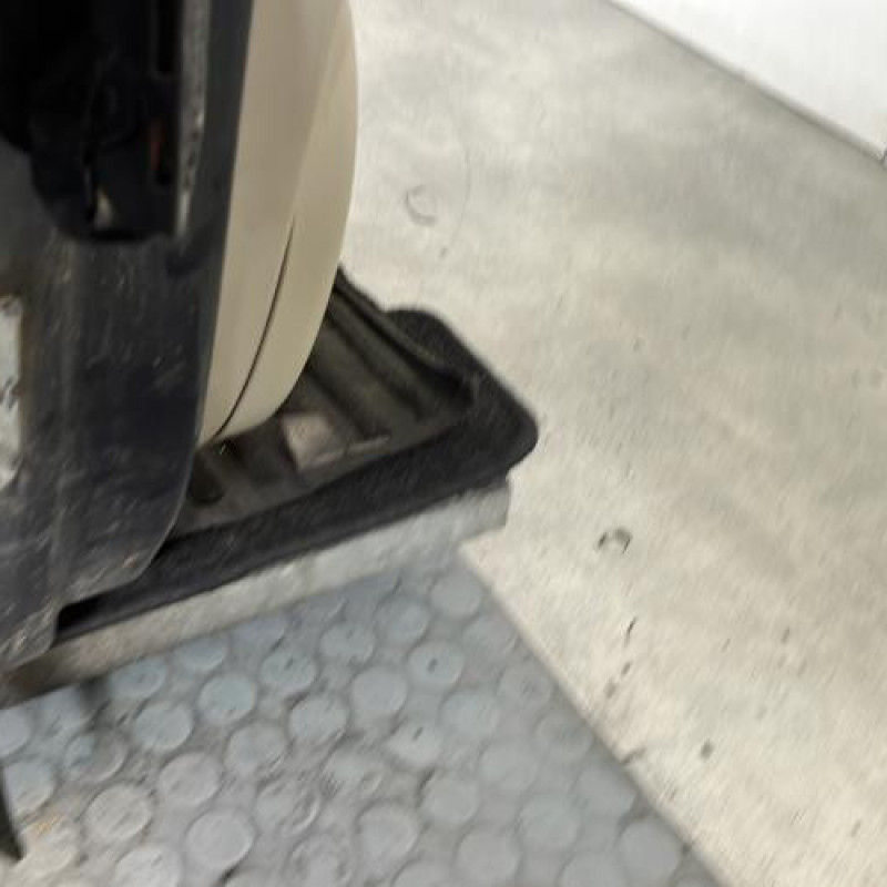 Porte avant droit RENAULT SCENIC 2 Photo n°6