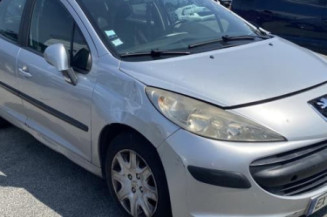 Cremaillere assistee PEUGEOT 207