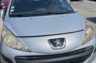 Cremaillere assistee PEUGEOT 207